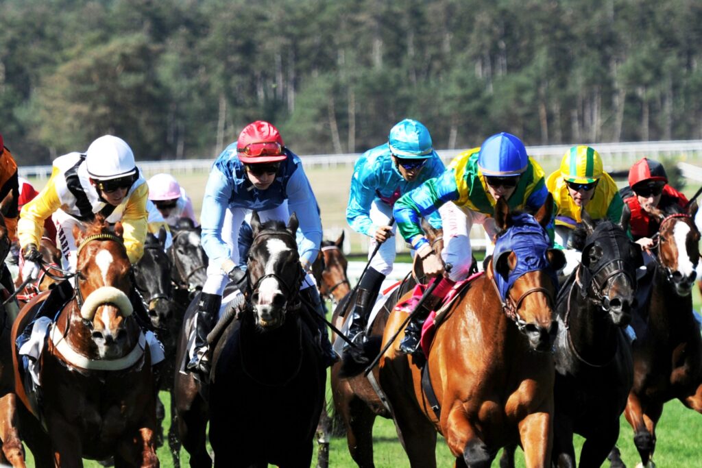 Sports Tips and Horse Racing Reading The Play