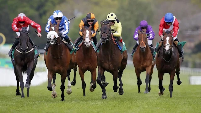 Today's Horse Racing Tips